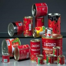 brix different bulk canned tomato concentrate - product's photo