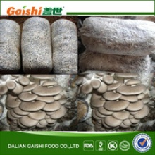 king oyster mushroom spawn growing kit - product's photo