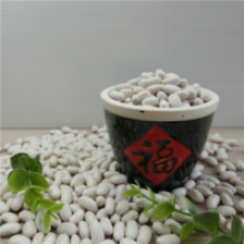 new corp white kidney bean - product's photo