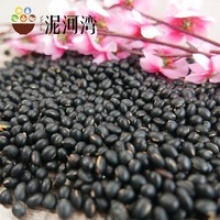 small black kidney bean - product's photo