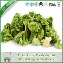 dried style freeze dried broccoli - product's photo