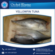 yellowfin tuna - product's photo