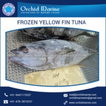 best yellowfin tuna available from top factory - product's photo