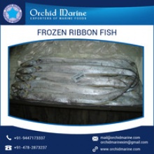 frozen ribbon fish - product's photo