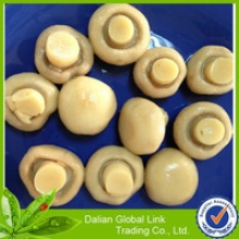 canned mushroom distributors  - product's photo
