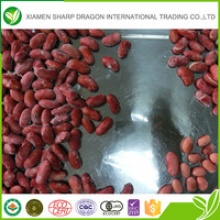 delicious organic frozen dark red kidney bean for bulk - product's photo