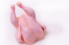 whole frozen chicken halal - product's photo