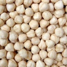 blanched hazelnut kernel - product's photo