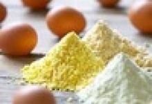 white egg powder - product's photo