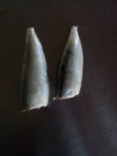 frozen sardines hgt - product's photo
