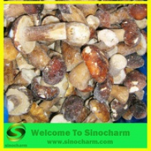 frozen wild boletus mushrooms - product's photo