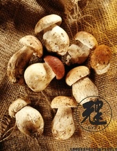 dried boletus edulis - product's photo