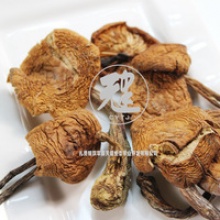 flower mushroom - product's photo