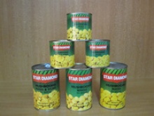 new crop canned mushroom champignon in brine - product's photo