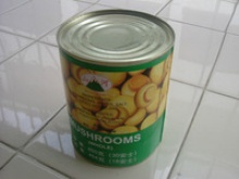 good quality new crop canned straw mushrooms - product's photo