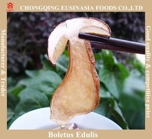 dried boletus edulis slice - product's photo