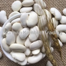 high quality yunnan large white kidney beans - product's photo