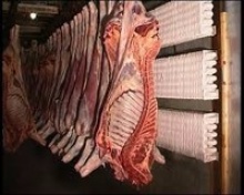 beef carcass - product's photo