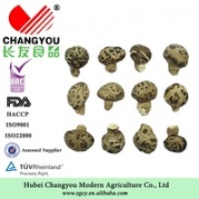 brand name of whole cultivated china dry shitake mushroom - product's photo