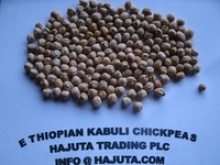 ethiopian kabuli chickpeas - product's photo