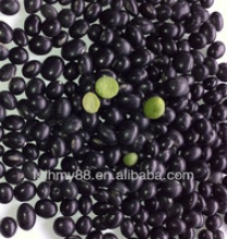 medium black bean/black soya bean/black soybean with green kernel - product's photo