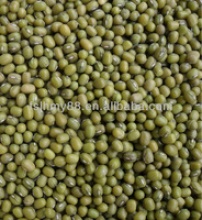 big yellow bean/soya bean/soybean 6.8-9.0mm - product's photo