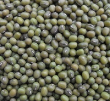 green mung bean - product's photo