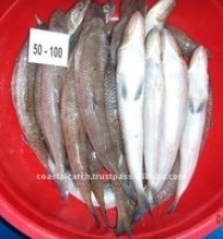 frozen lizard fish - product's photo