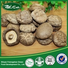 shiitake mushroom, smooth mushroom - product's photo