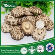 wholesale cheap dried shiitake mushroom - product's photo