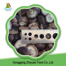 low prices for frozen shiitake mushroom - product's photo
