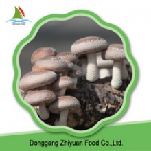 chinese bulk frozen shiitake mushroom - product's photo