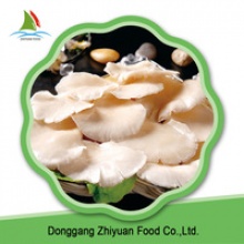 fresh king oyster mushroom spawn - product's photo
