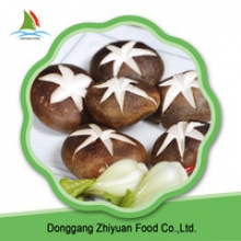 iqf frozen mushroom shiitake  - product's photo