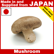 japanese shiitake mushroom - product's photo