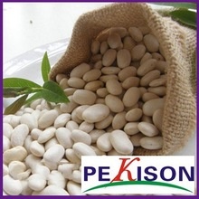 crop long shape white kidney bean - product's photo