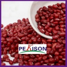 new crop small red kidney beans - product's photo