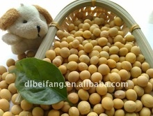 organic soybeans - product's photo