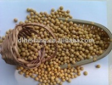 eu,nop,jas certified organic soybeans( - product's photo