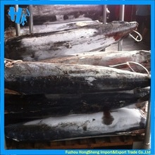 frozen blue marlin fish factory - product's photo