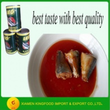 dlicious mackerel in tomato sauce cheap wholesale - product's photo