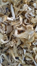 high quality flower shiitake mushroom - product's photo