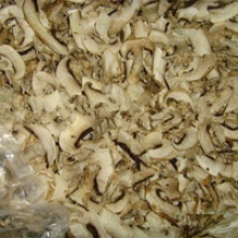dried mushrooms vacuum packaging bag - product's photo