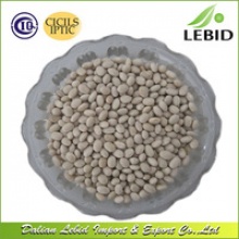 new crop white kidney beans/navy beans/bean food - product's photo