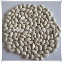 white kidney beans square type,new arrival - product's photo