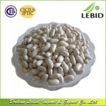 new crop white kidney beans seeds - product's photo