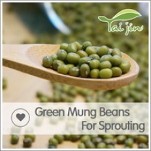 green mung beans for sprouting  - product's photo