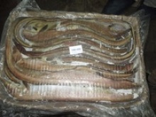 frozen eel fish whole - product's photo