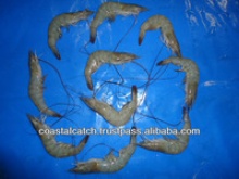indian vannamei shrimps farm  - product's photo