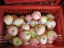 fresh royal gala apple - product's photo